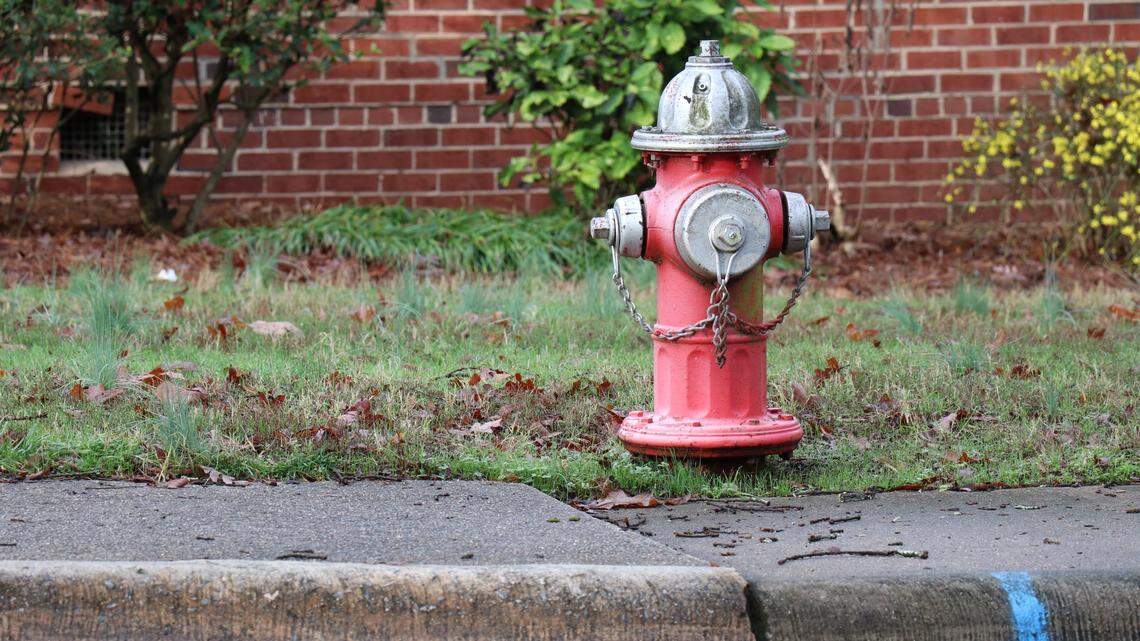 A man and woman are charged with theft after they’re accused of stealing a fire hydrant from a Regions bank in Mobile, Alabama, on March 9, police said.