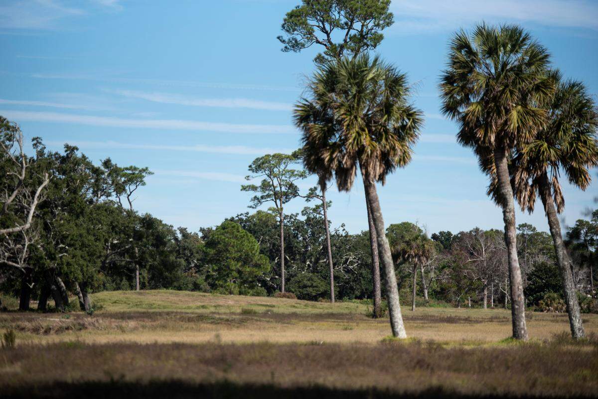 Grass and weeds have grown up on what used to be fairways of Great Southern Golf Club on Wednesday, Nov. 9, 2022. The club, which closed in May, is supposed to be developed into housing developments but neighbors are concerned about the environmental impact.