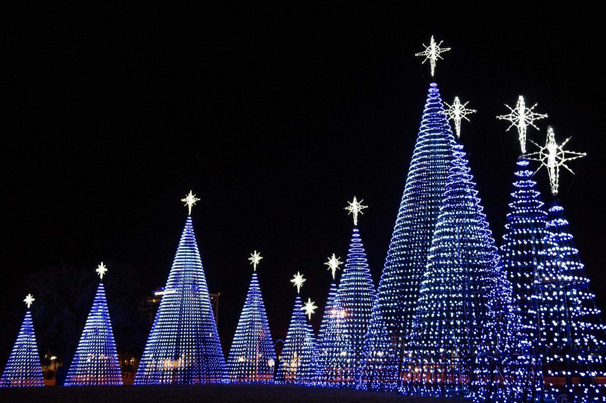 The “Dancing Christmas Trees” during the Harbor Lights Winter Festival at Jones Park in Gulfport on Thursday, Dec. 2, 2021.