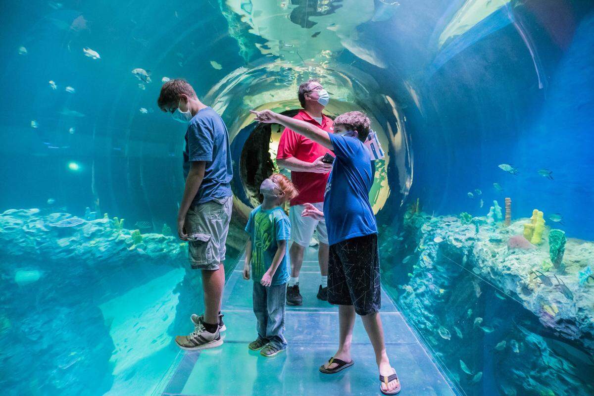 The first day visitors enjoy the Mississippi Aquarium opening Saturday morning.