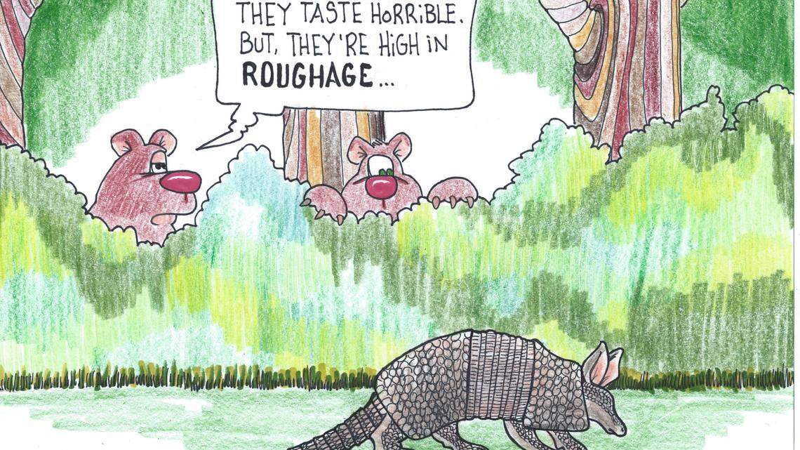 Call in the experts to evict armadillos  