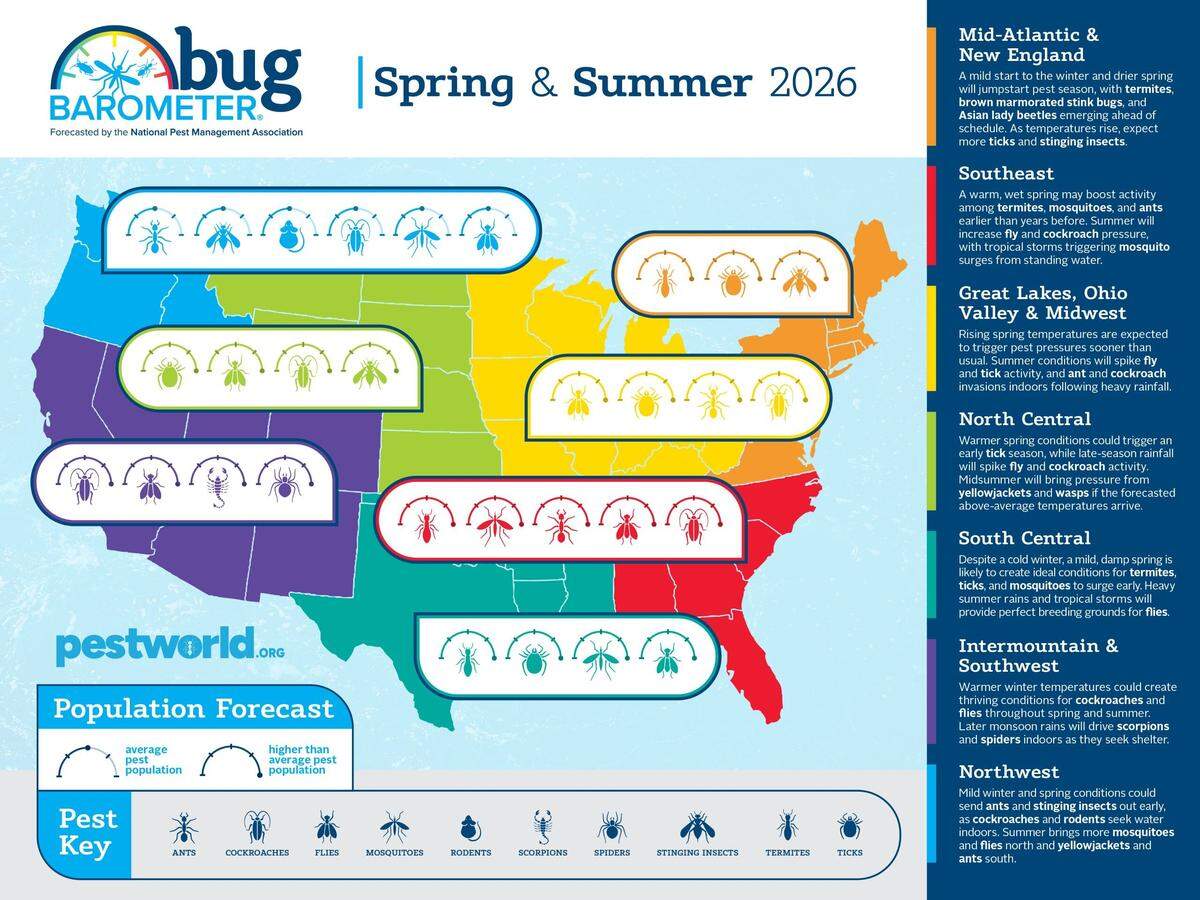 The NPMA’s Bug Barometer predicts more termites, ticks and mosquitoes for Mississippi and the South Central region this spring.