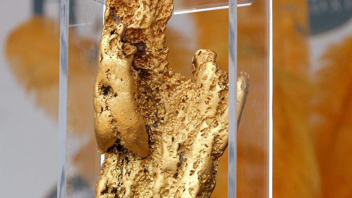 AMANDA McCOY/SUN HERALD The Hand of Faith, the largest known golden nugget in the world, was unveiled at the ribbon cutting ceremony at the Golden Nugget Casino Biloxi on Friday, May 2, 2014. The 61- pound nugget moved form its prior home in Vegas to be displayed in Biloxi.