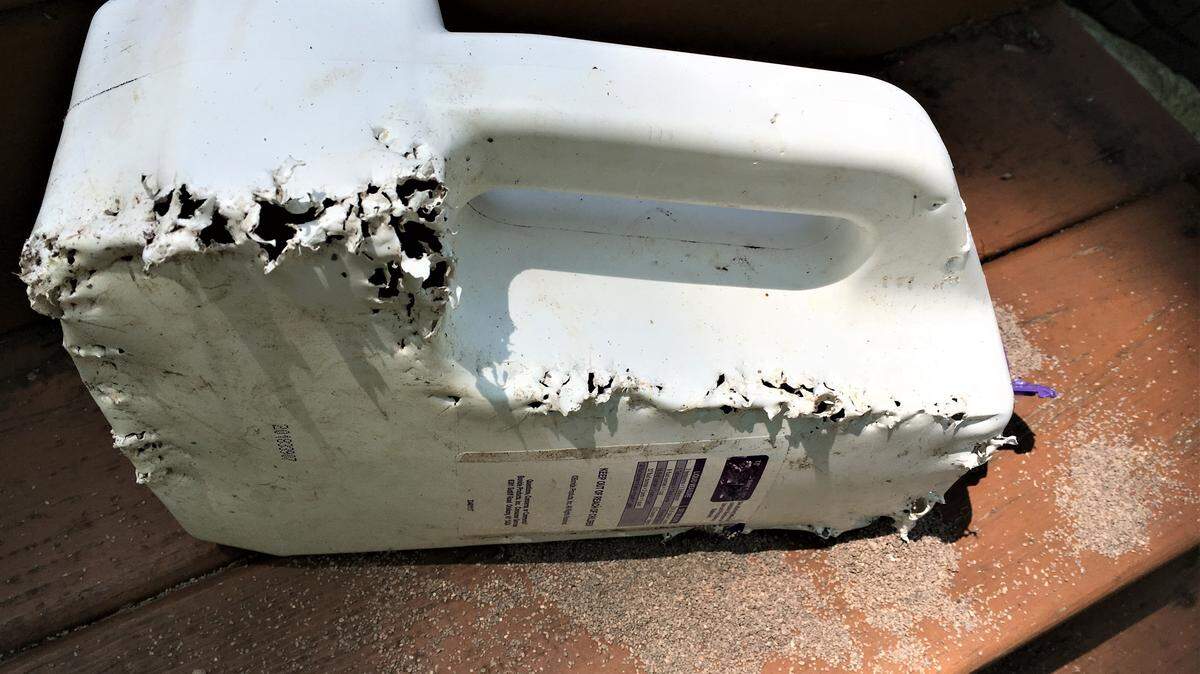 Will these animal repellent granules work. The jury is still out after the jug of granules was attacked ... by an animal.