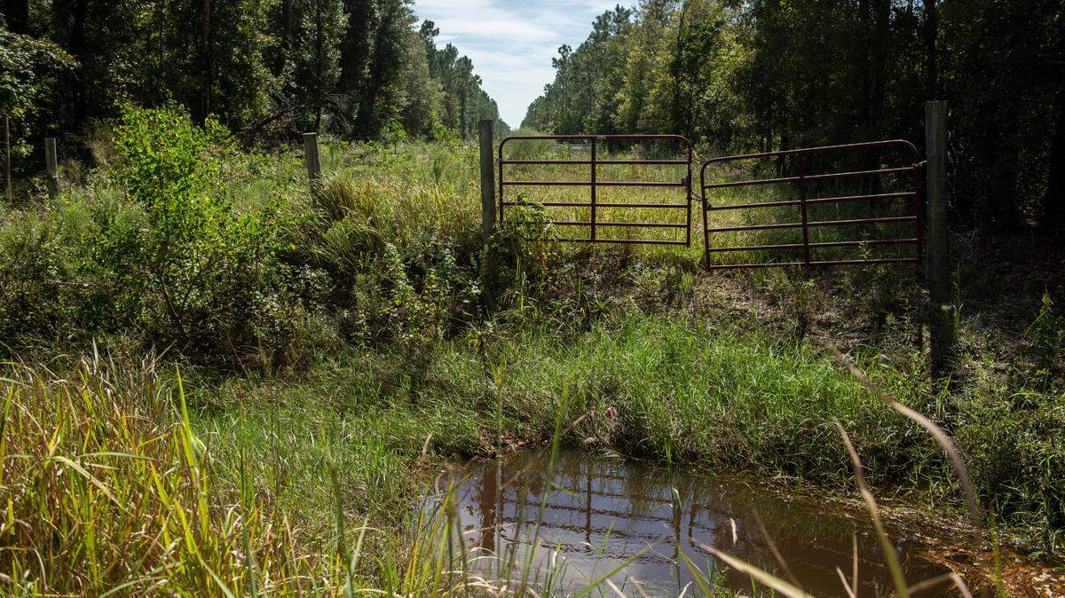 The undeveloped area beyond Factory Shops Road on Wednesday, Sept. 22, 2021.