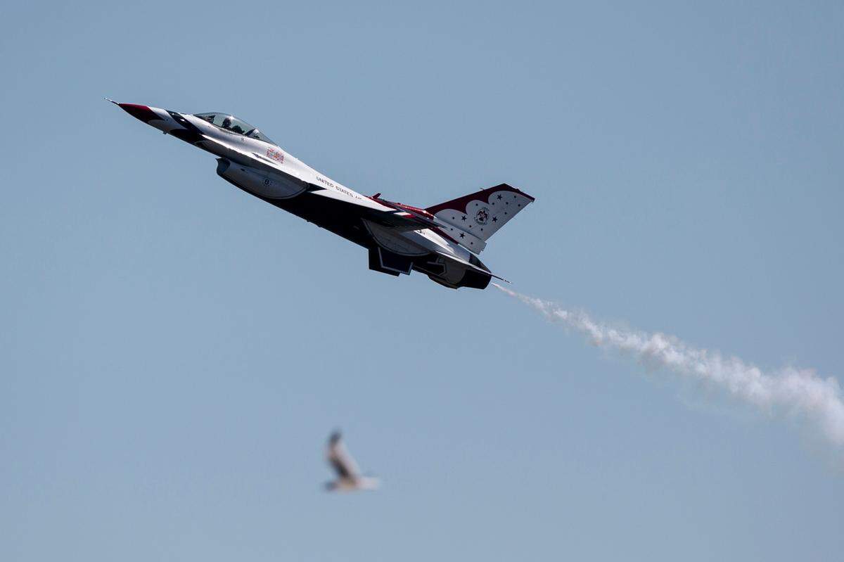 A U.S. Air Force Thunderbirds flies alongside a seagull during a practice for the Thunder Over the Sound airshow on Friday, April 28, 2023.