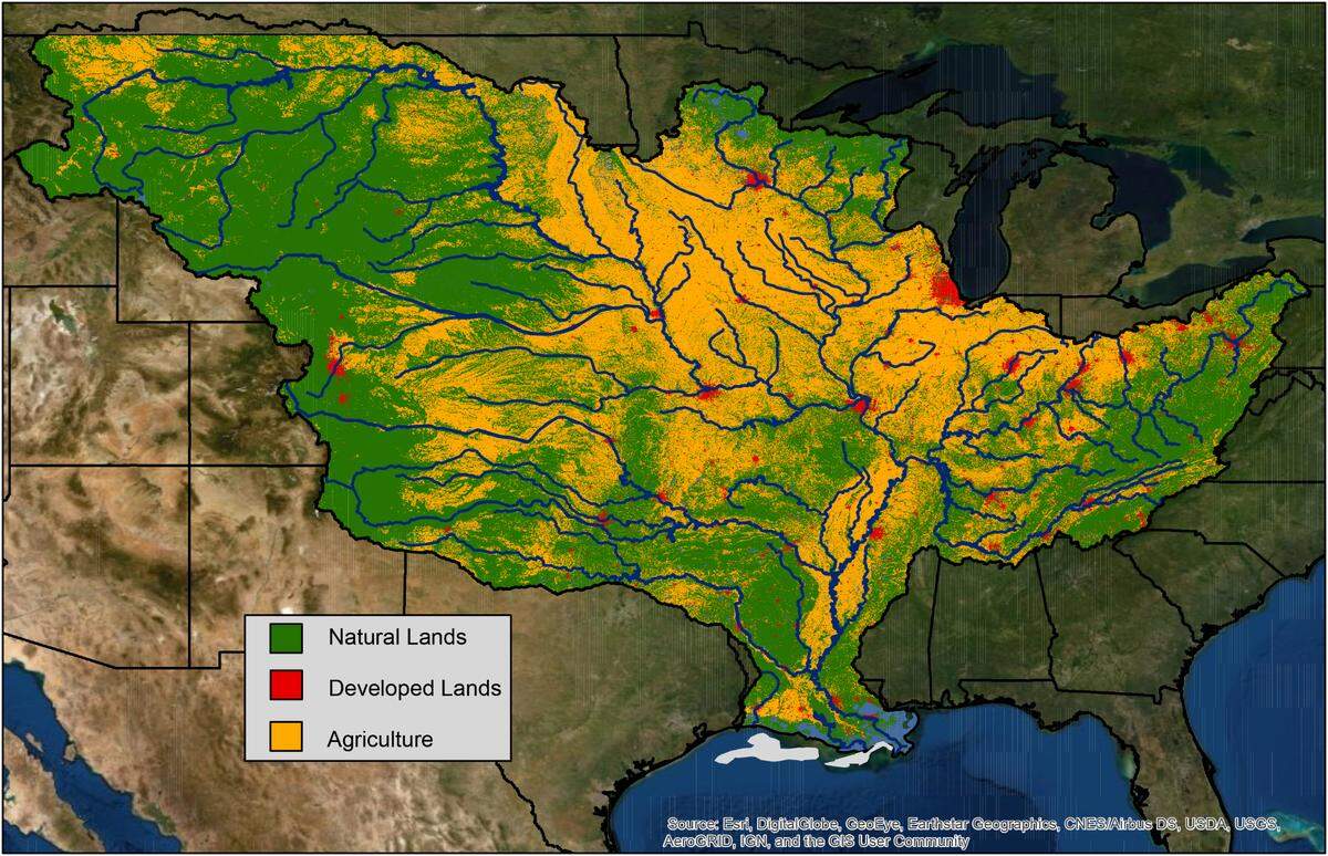 The Mississippi River watershed, which spans more than 40% of the continental U.S., is made up of farms (yellow), cities (red), and natural lands (green). Nitrogen and phosphorus pollution from agricultural and urban areas are the major contributors to the annual summer ‘dead zone’ in the Gulf of Mexico.
