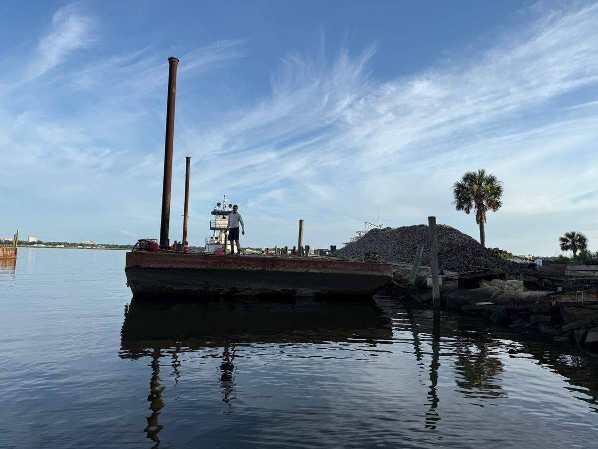 Nine reefs built by researchers will provide habitat for over 100 marine species and help support growing oyster populations.