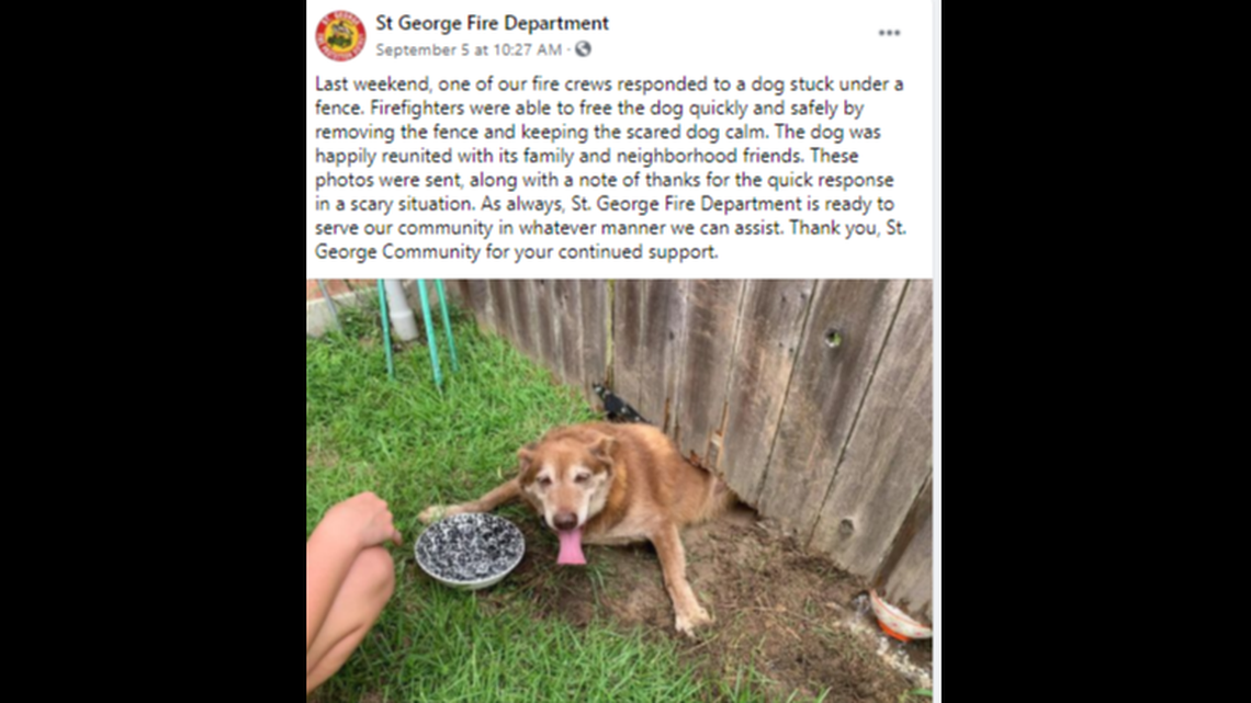 This dog was up to no good when it got stuck under a fence in St. George, Louisiana. The department had to take the fence apart to get it free.