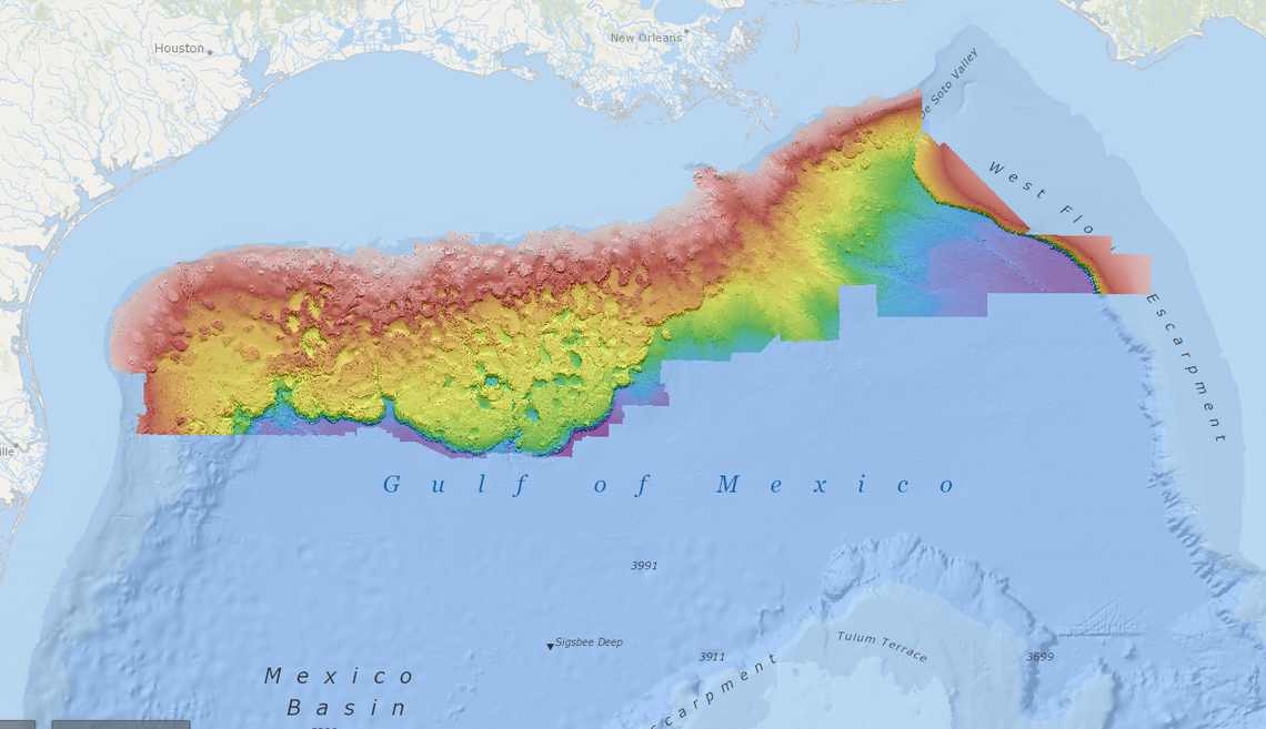 This is the northern Gulf of Mexico deepwater bathymetry grid, created with 3D seismic surveys. It incorporates 1.4 billion 40-by-40 ft cells.