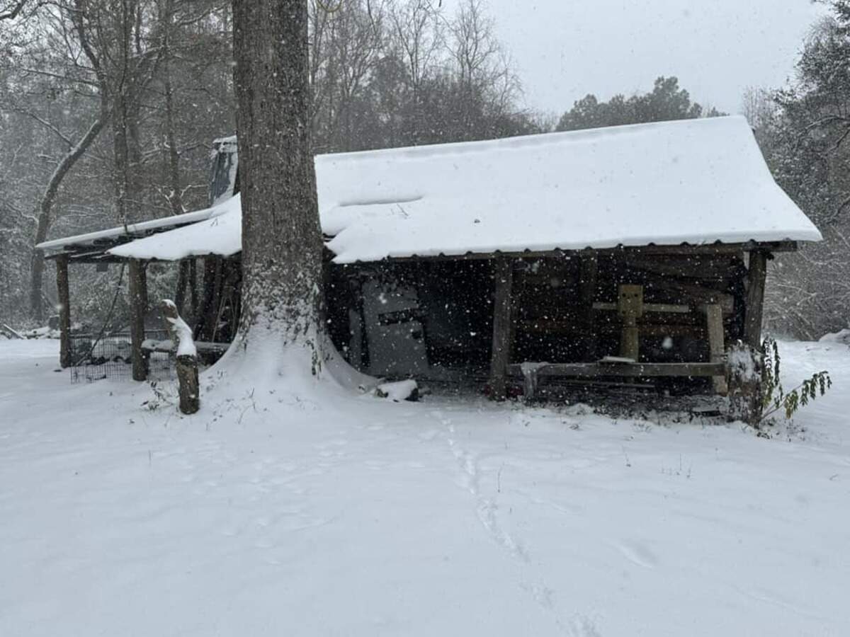 Sandra Seymour sent in a photo of snow on her cabin in Latimer, MS. “I have never seen snow this deep,” she said. “I have been enjoying going outside and being in it.”