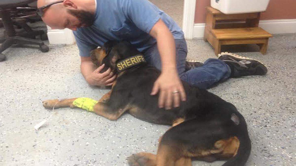 COURTESY OF HANCOCK COUNTY SHERIFF'S DEPARTMENT 
 Radar is reunited with Hancock County deputies after 17 days lost in the woods.