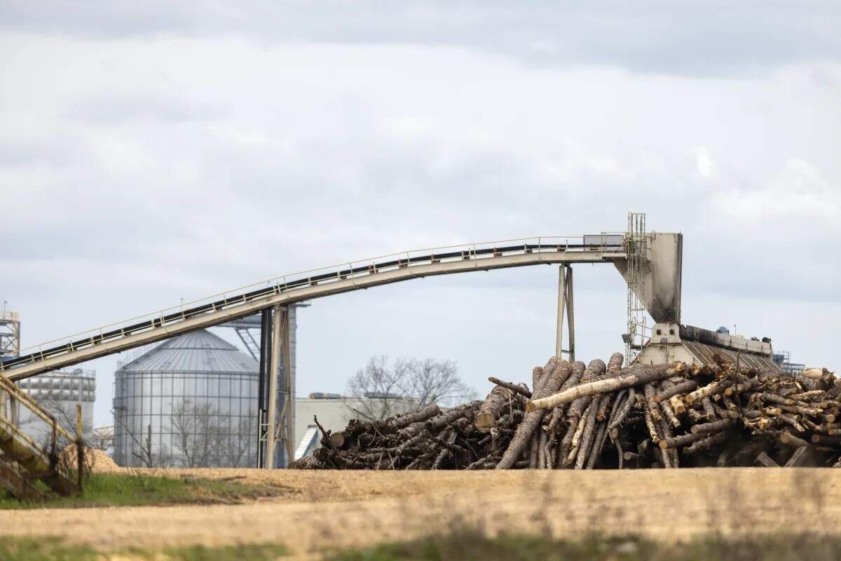 Drax Group, a U.K.-based energy company that operates a wood pellet production plant in Gloster, has caused concern in the small Mississippi town due to its industrial pollution.