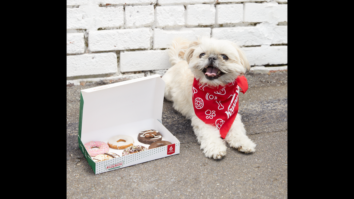 Krispy Kreme is rolling out baked Doggie Doughnuts treats to celebrate National Dog Day on Friday, Aug. 26.