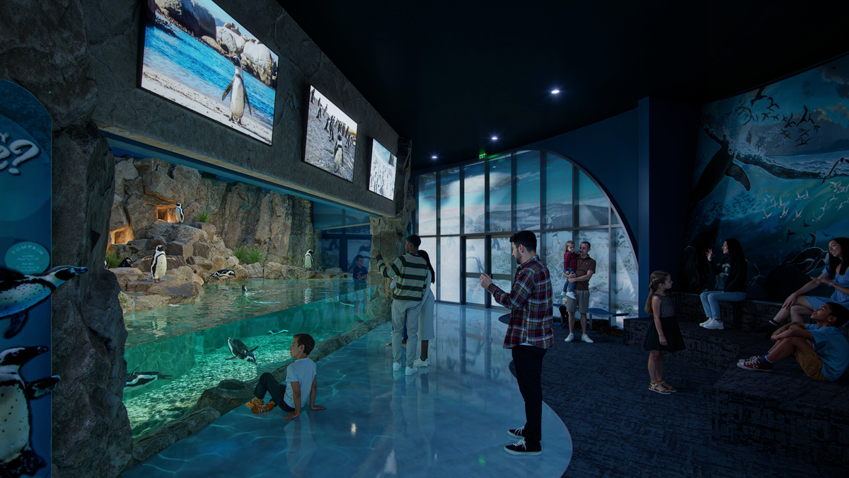 A rendering shows what the inside of the penguin exhibit at the Mississippi Aquarium will look like once its completed.