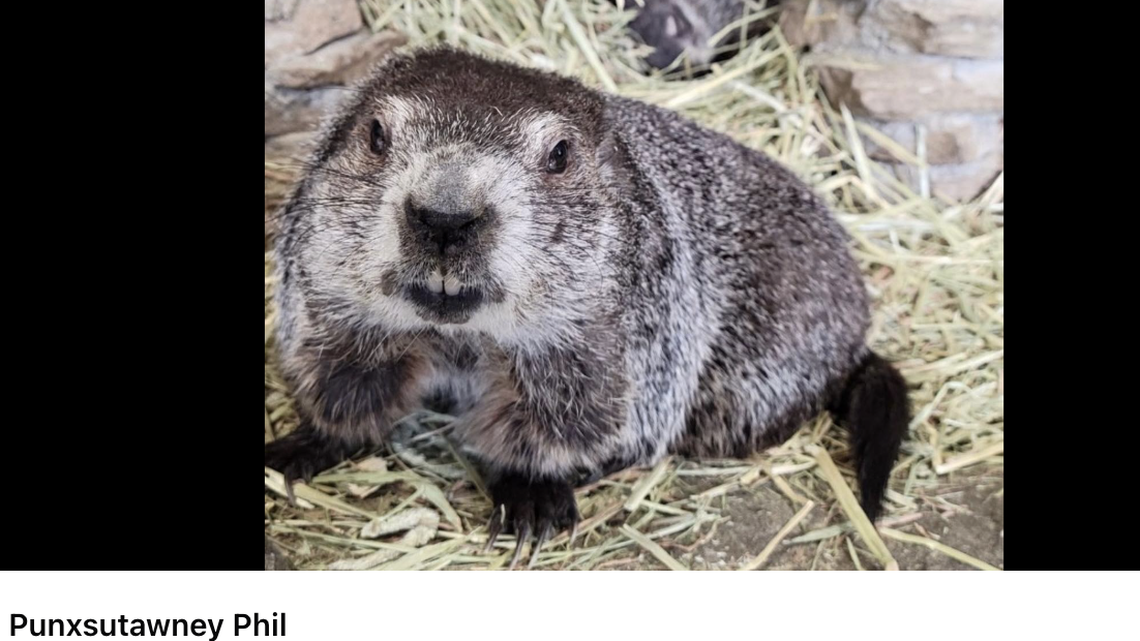 Did the Groundhog Day prediction match MS long-term weather forecasts? Take a look