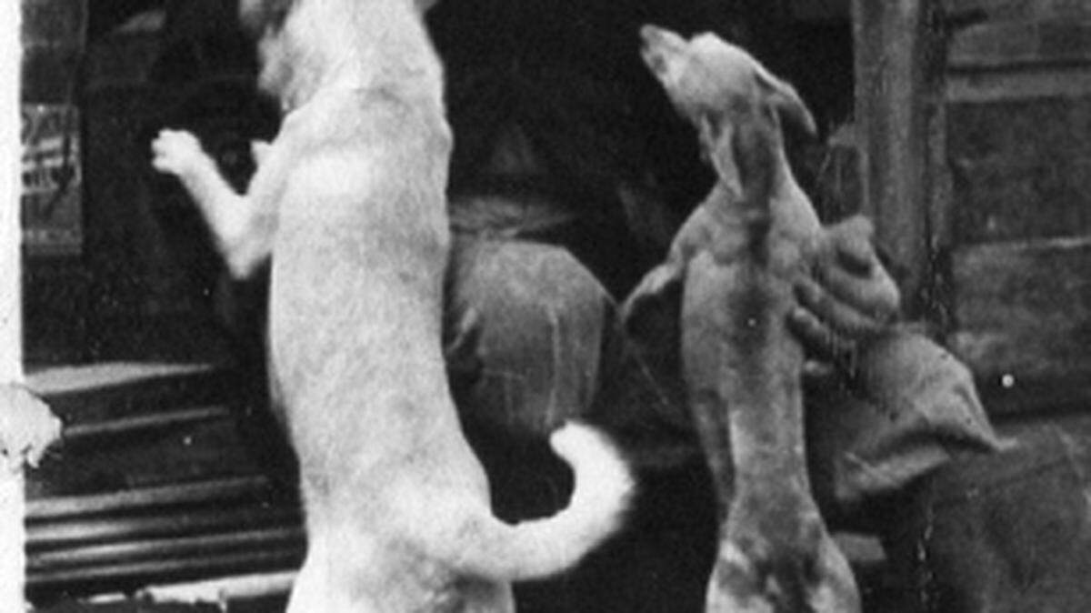 L.J. 'JOE' SCHOLTES COLLECTION/SOUTHERN POSSUM TALES ARCHIVESJean Guilhot was known as The Hermit of Deer Island for his appearance and eccentricities. The French native lived on the island in the mid-1900s, farming oysters. This rare photograph was collected by the late Colleen and Joe Scholtes of Biloxi, who archived local history and who knew Guilhot.