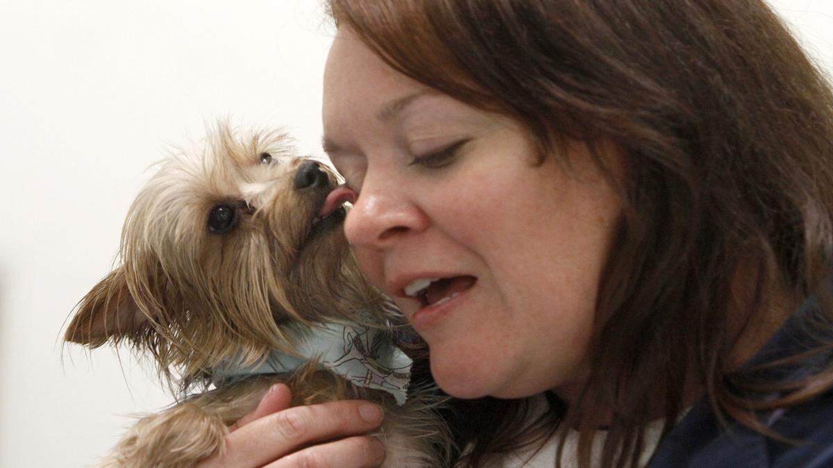TIM ISBELL/SUN HERALDMichele Knoll finds love at first sight with her newly adopted Yorkie from the Humane Society of South Mississippi, Saturday, Apr. 16, 2016. Eighteen of the the 28 Yorkshire terriers that were removed from a breeding home in Gulfport were up for adoption.