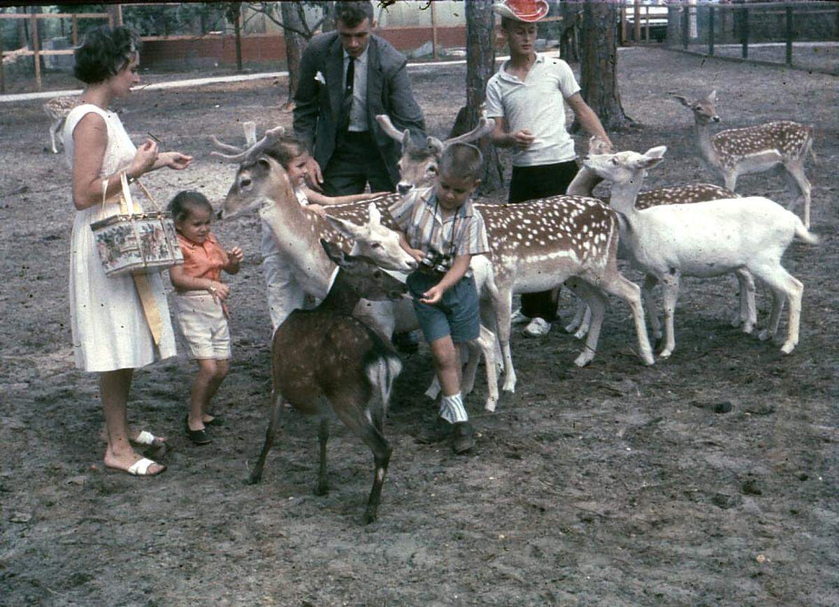 The Deer Ranch was a favorite family attraction off DeBuys Road in Biloxi.