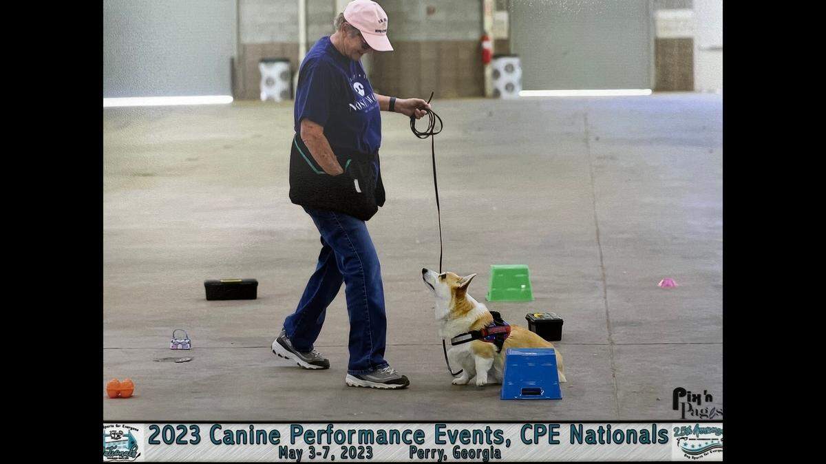 Shelley Carpenter and her corgi, Murfee, work together in a national competition in 2023.