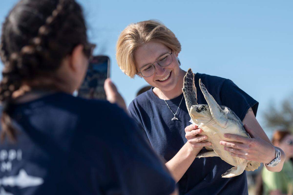 Mississippi Aquarium staff and volunteers release Kemp’s ridley sea turtles back into the Gulf of Mexico from Biloxi Beach on Wednesday, March 12, 2025. The sea turtles, which were rehabilitated by the Mississippi Aquarium for cold-stunning, were named after Taylor Swift songs and given tags resembling friendship bracelets.