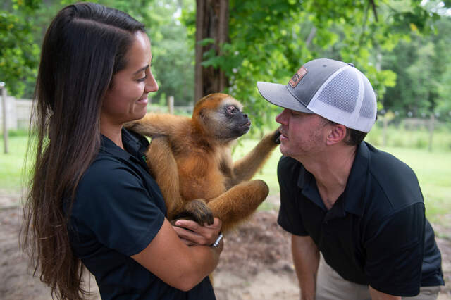Blind Mississippi monkey gets cataract surgery to regain sight | Biloxi ...