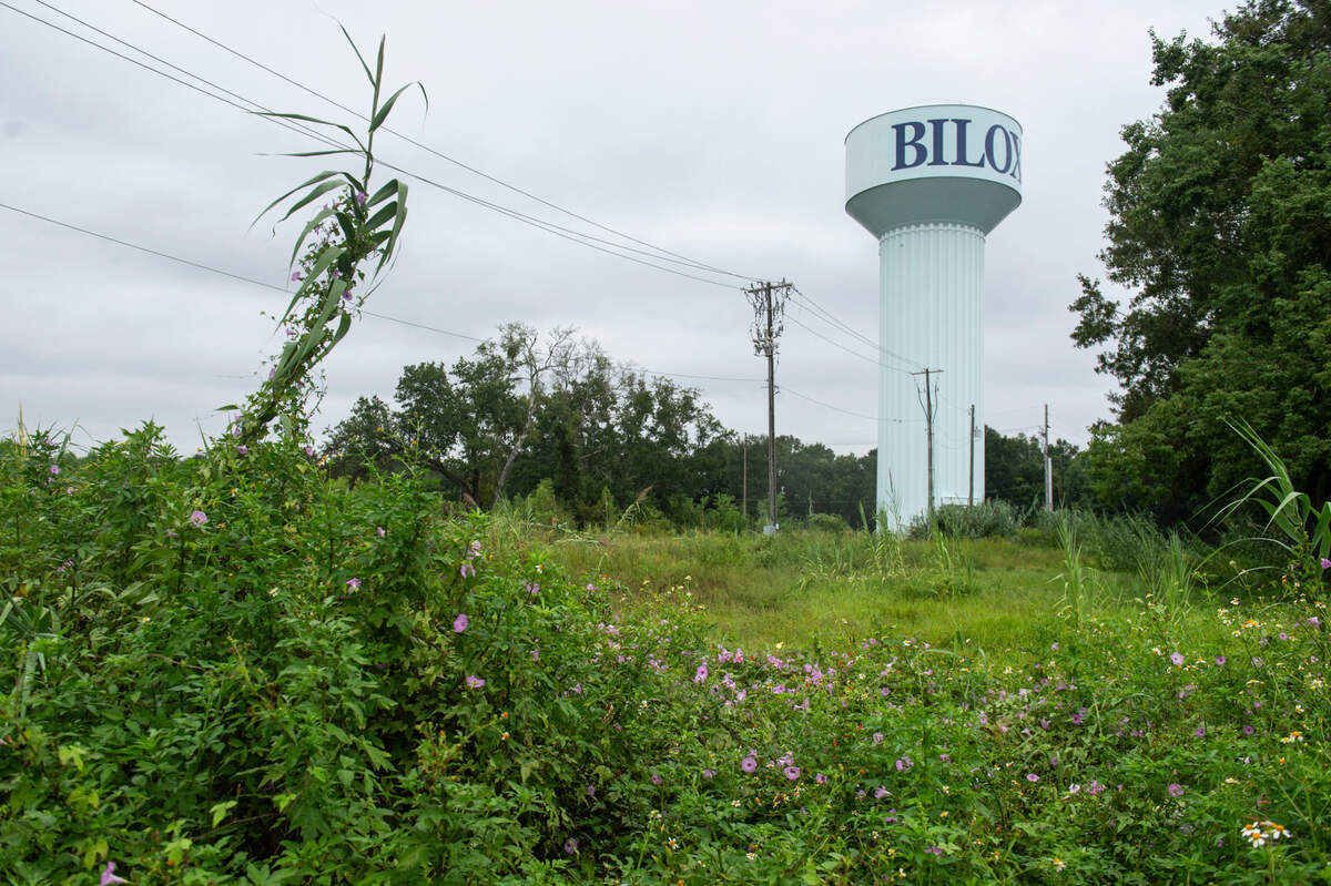 Overgrown property near what was once the Broadwater Beach Resort in Biloxi at the end of Southern Avenue on Thursday, Sept. 5, 2024.