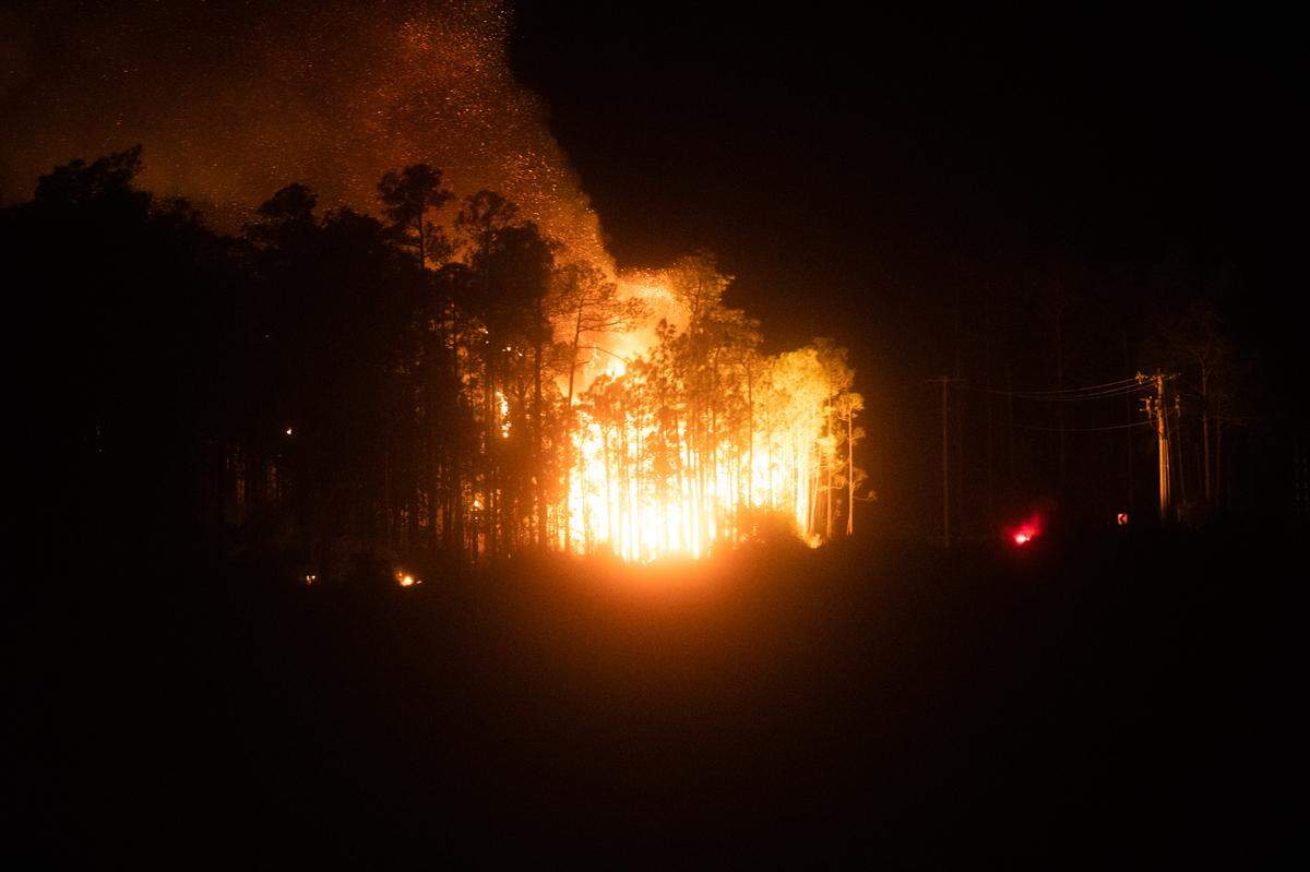 A forest fire burns in Jackson County near 11th Street in Gulf Park Estates on Saturday, April 9, 2022.