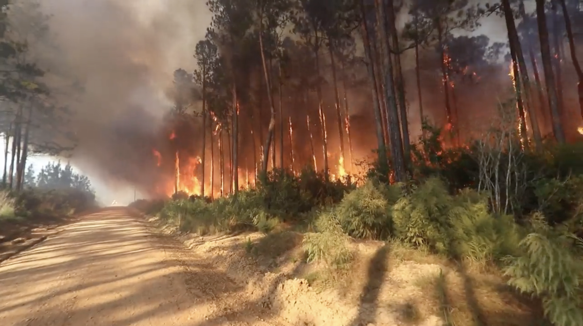 A screenshot from a video by Harrison County Fire Chief Pat Sullivan shows a woods fire that is burning hundreds of acres in Harrison County.