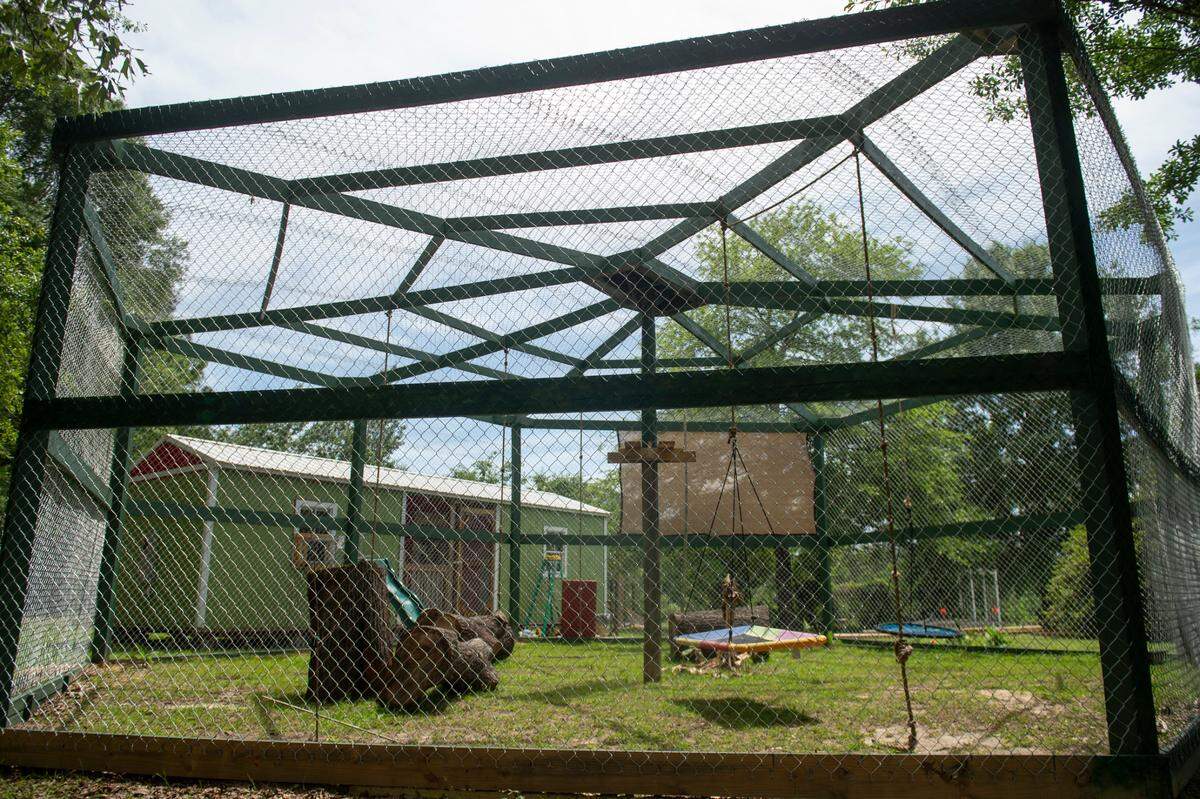 The spider monkey enclosure at Gulf Coast Primate Sanctuary in Perkinston, on Thursday, May 1, 2025.