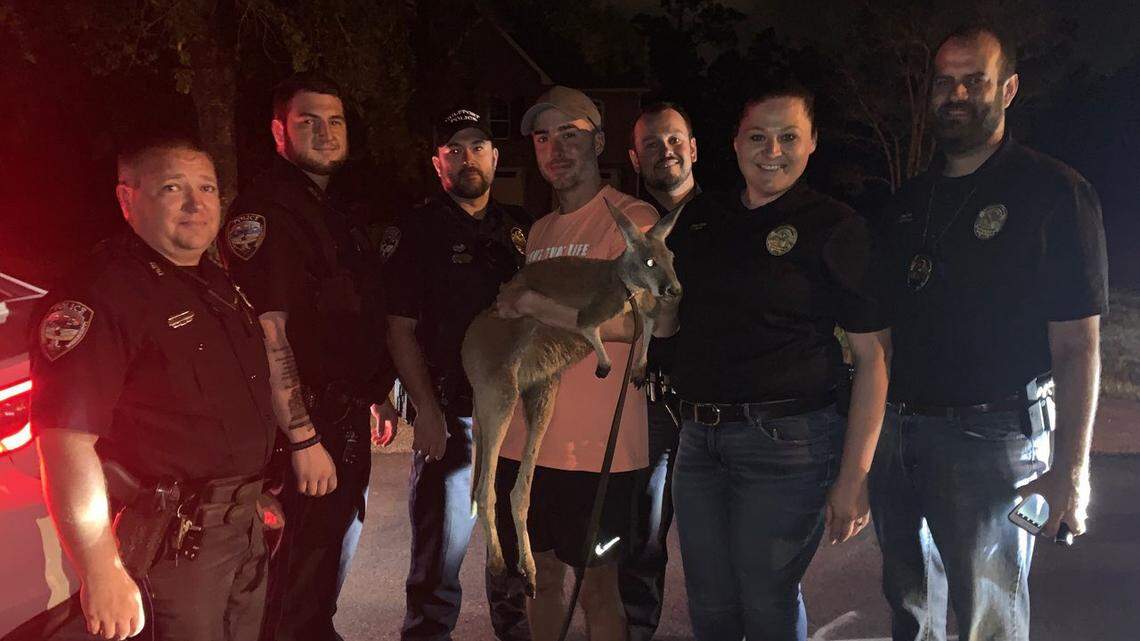 Jojo the Kangaroo, $600k donation, lawmaker arrested and other Coast news you might have missed
