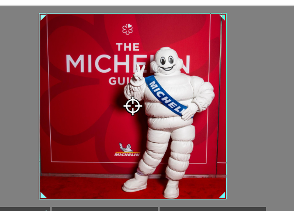 Michelin Guide to the American South will be available this year. It’s the first guide for a region of the country rather than major cities.