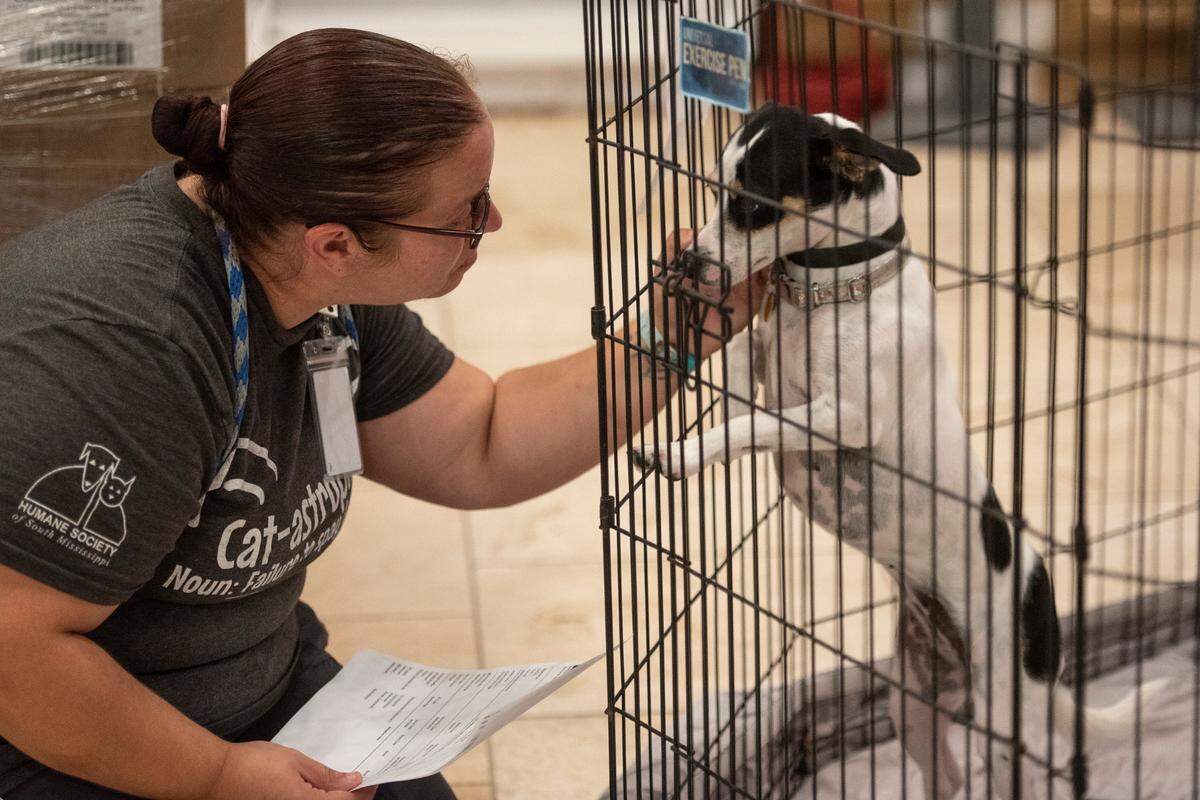 Adoption counselor Sarah Bowden pets a dog named Darling as she shows dogs to potential new dog owners at the Humane Society of South Mississippi in Gulfport on Thursday, July 7, 2022.