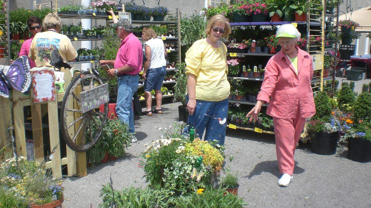 SUN HERALD FILEThe seventh annual Live Oak Arts Festival will be 9 a.m. to 4 p.m. Saturdayin downtown Pascagoula.