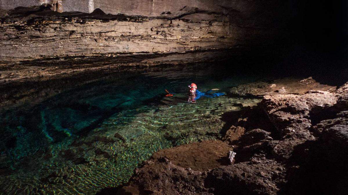 The ghost-white creature hadn’t been seen in over 30 years, experts said.