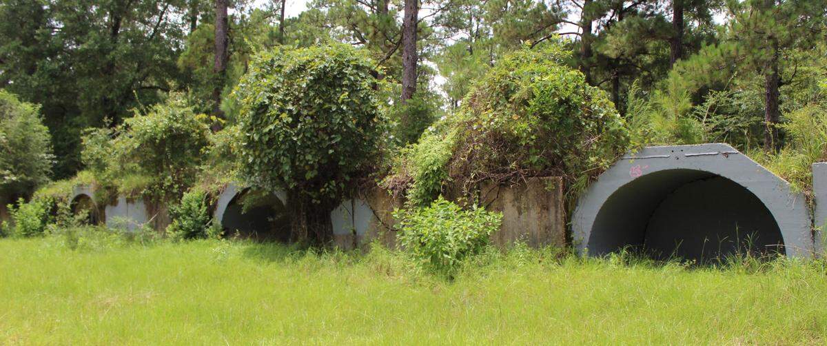 Visitors looking to immerse themselves in the historic monument can use Tuxachanie Trail or Forest Road to access the abandoned World War II POW camp. 