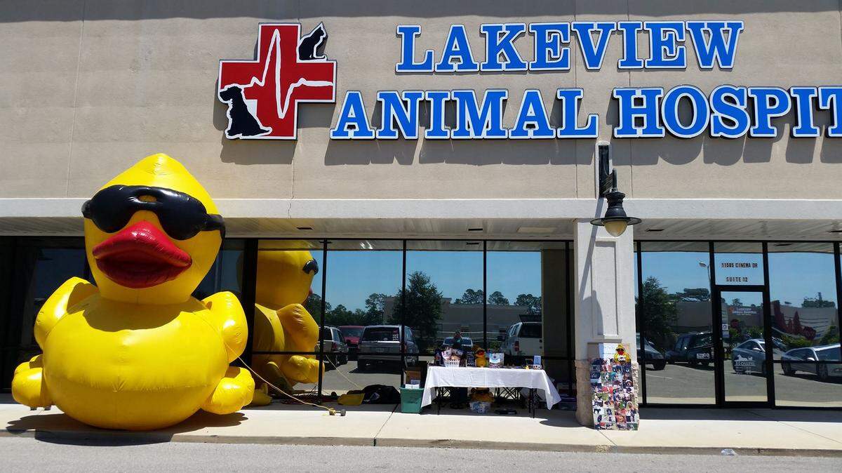 COURTESY TIRED DOG RESCUEFrom noon to 4 p.m. Saturday, Tired Dog Rescue's inaugural Duck Derby will take place at The Dock Bar and Grill in Gulfport.