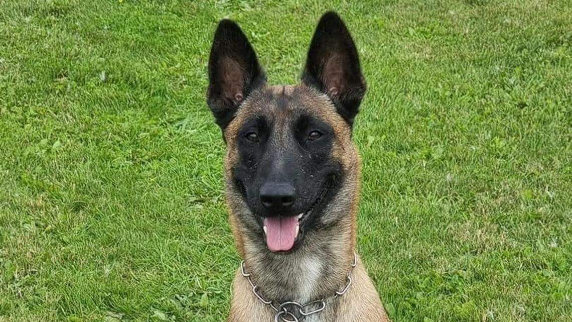 K9 Expo posing for a photo