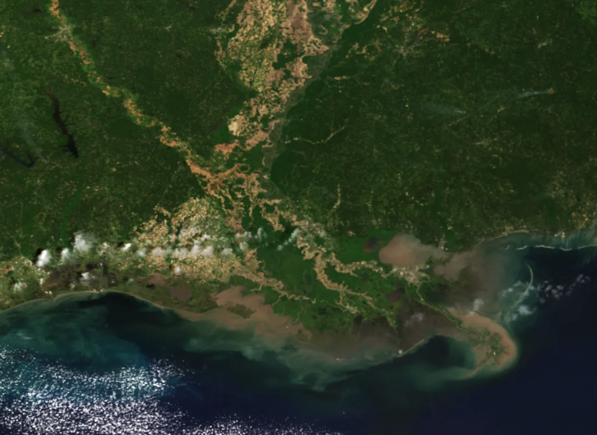 The Gulf of Mexico’s hypoxic “dead zone” at the end of the Mississippi River is seen by satellite south of Louisiana in 2017.