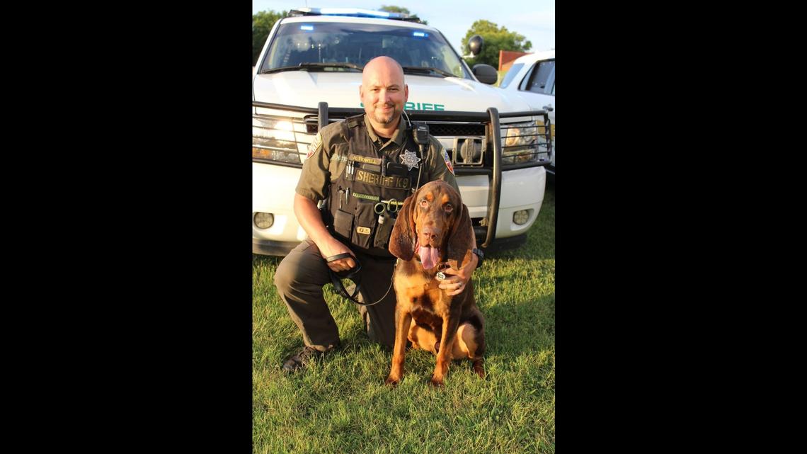 A bloodhound with the Rutherford County Sheriff’s Office in Tennessee is credited with rescuing a missing 6-year-old girl and leading police to her father, who’s accused of abducting her.