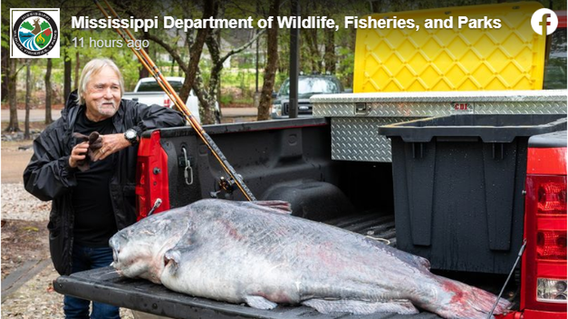 Eugene Cronley of Brandon, Mississippi, set state record for blue catfish when he caught one weighing 131 pounds with a rod and reel in the Mississippi River.