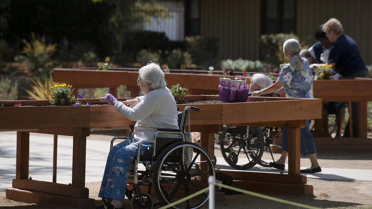 Residents and members of the VIP Garden Club plant flowers in the raised beds at Eskaton Care Center Greenhaven on Sept. 1, 2015 in Sacramento, Calif. Eskaton Care Center for seniors turned a large section of thirsty lawn into the first wheelchair accessible labyrinth garden in Sacramento. The new space uses 50 percent less water than the former lawn, and offers many times the opportunity to get the center's seniors outside and moving among the flowers. They have gardening times in wheelchair-accessible raised beds, too. (Debbie Arrington/Sacramento Bee/TNS)