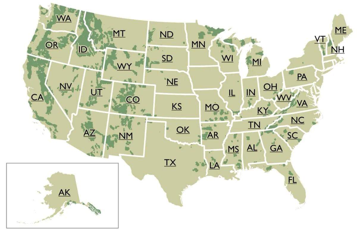 The U.S. Forest Service owns 173 million acres of land. It is proposing that some land under its forests be used to store carbon captured from industries to prevent it from being released into the atmosphere.