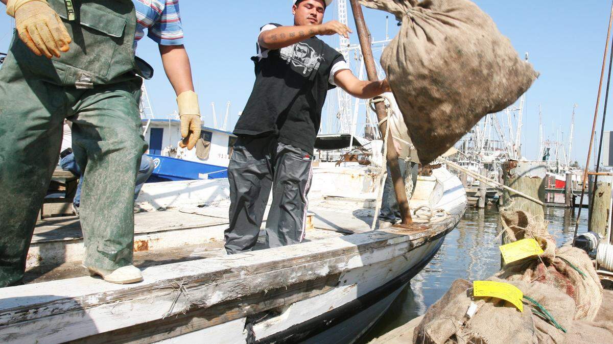 JOHN FITZHUGH/SUN HERALD/2008 
 Fidel Vasquez, left, and Louis Erick unload oysters from the Miss Amber in September 2008 at the Pass Christian Harbor.
