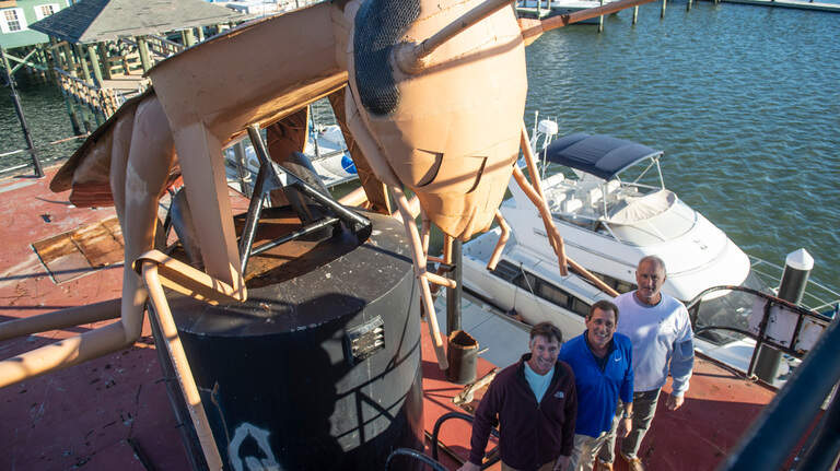 The MS Coast has a new tourist draw: a giant cockroach reef and potential world record