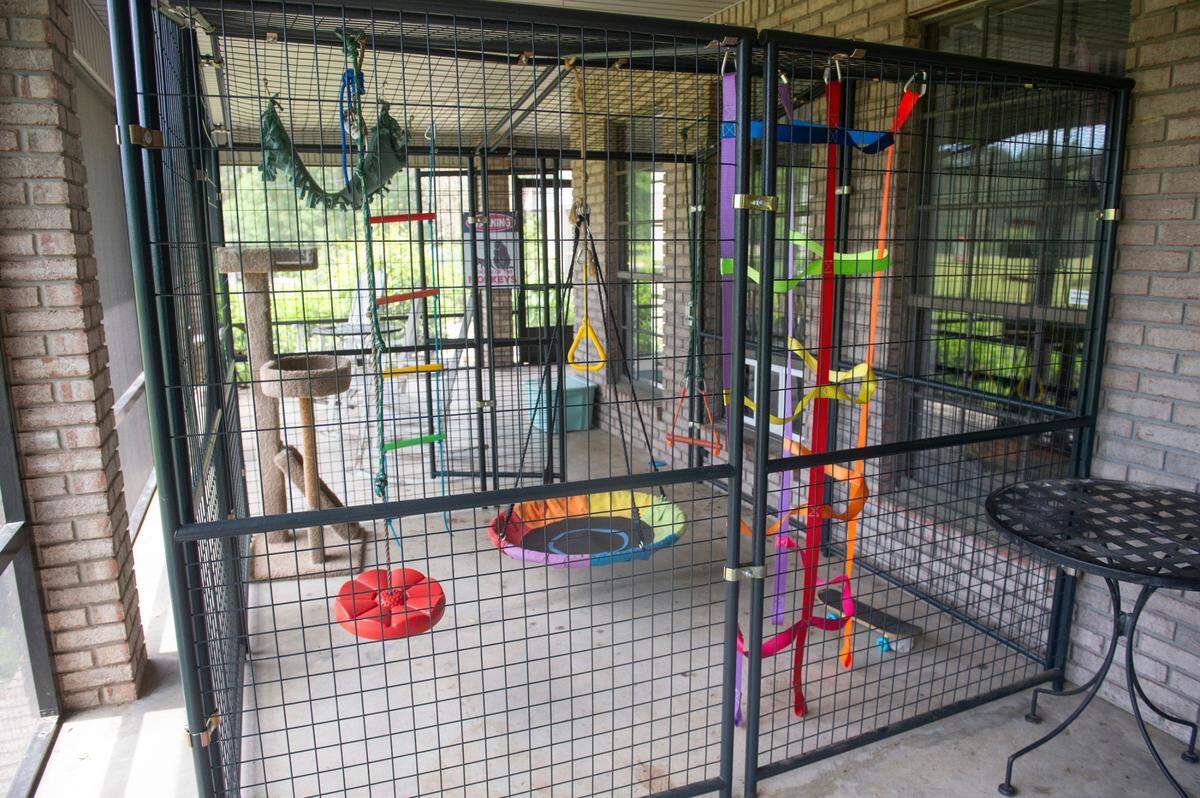 Louie the spider monkey’s old enclosure at Gulf Coast Primate Sanctuary in Perkinston, on Thursday, May 1, 2025, which had outdoor and indoor access built into the Stewart’s home. Louie is transitioning to living in the larger enclosure full time.