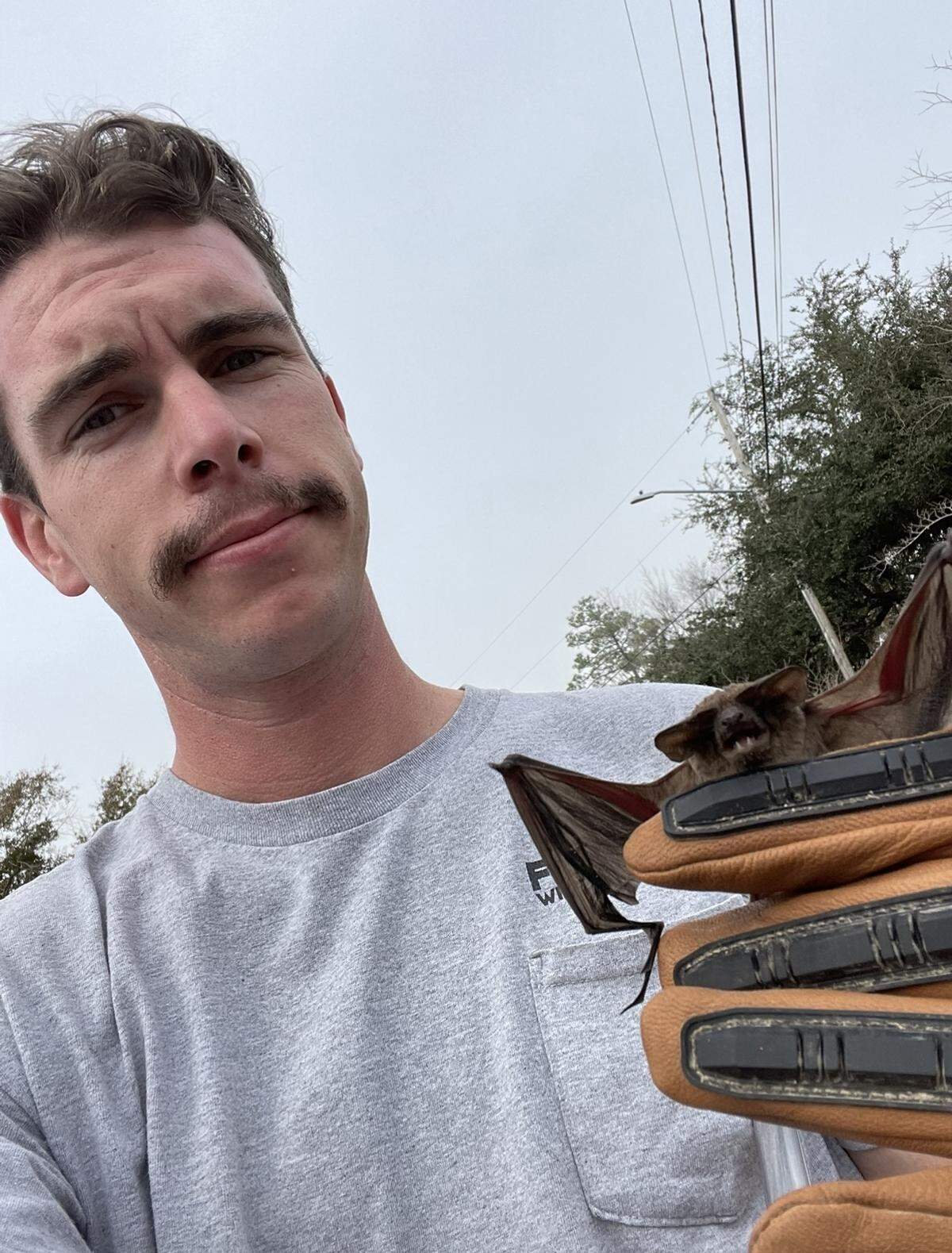 Jeremy Everett holds a bat that found itself in a home it didn’t belong.