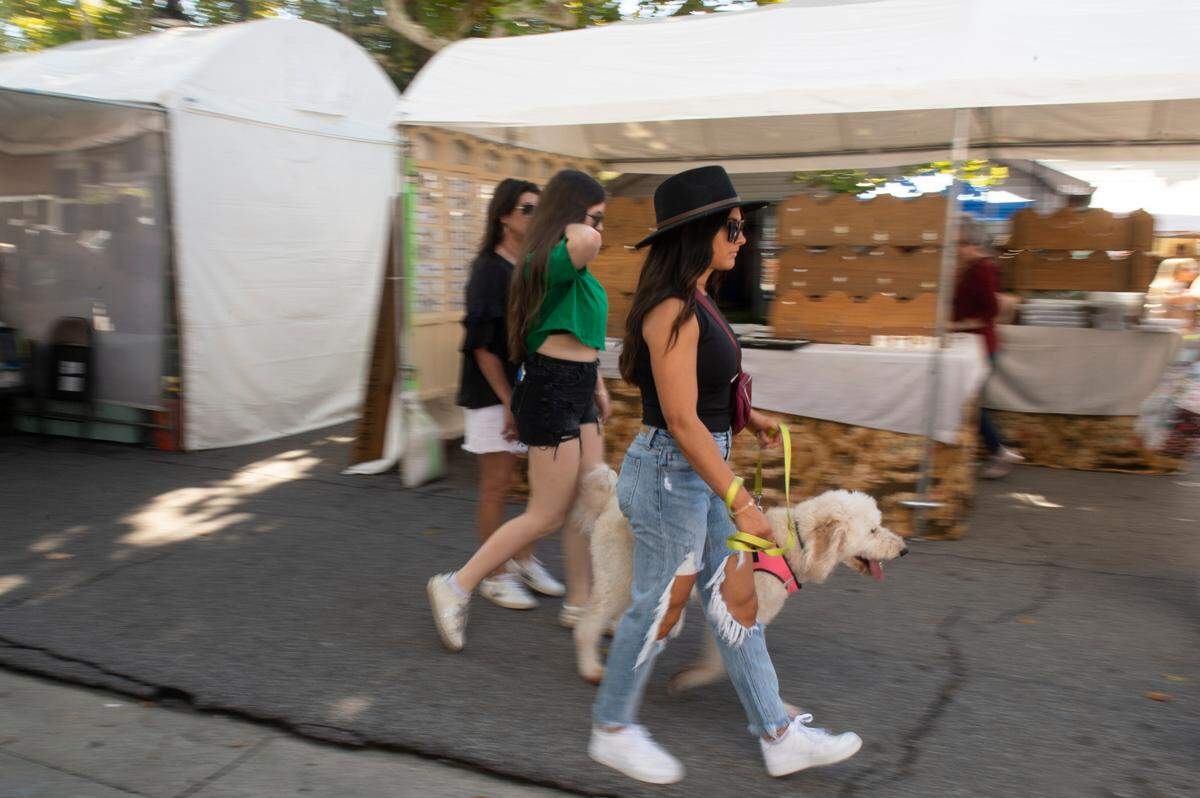 People and pets walk among tents selling art along Government Street during the Peter Anderson Festival in Ocean Springs on Sunday, Nov. 6, 2022.