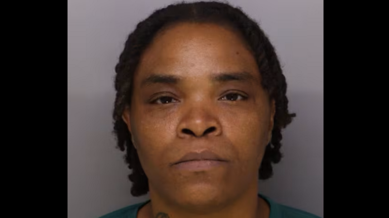 Nolan Wells case: MS judge revokes bond for Ohio woman accused of death threats