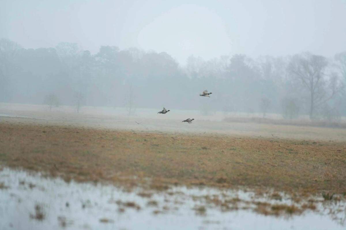 Running Creek is one of fewer than 30 wingshooting grounds endorsed by outdoor retailer Orvis.